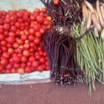 बाजारों में सब्जियो की बढ़ती कीमत से किचन में गृहणियों को बजट से बढ़ी चिंता 